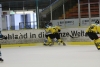 Bild 46