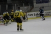 Bild 61
